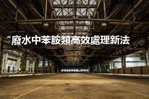 “廢水中苯胺類高效處理新法，環(huán)保先鋒引領(lǐng)綠色以后”